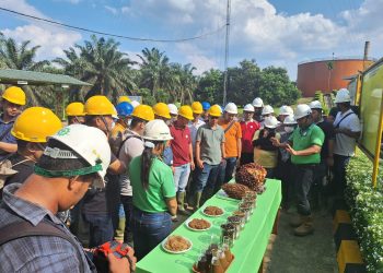 BSI Dukung Pembiayaan Sawit Bagi Petani Plasma