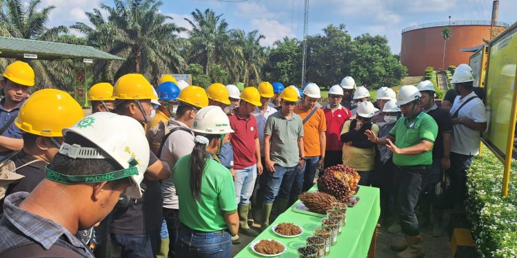 BSI Dukung Pembiayaan Sawit Bagi Petani Plasma