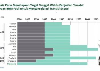 Green Fuel  dan Listrik  Sumber Energi di Era Net Zero Emission