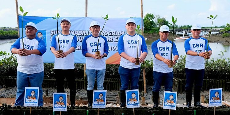 Dukung Keberlanjutan, ACC Tanam Mangrove di Bali