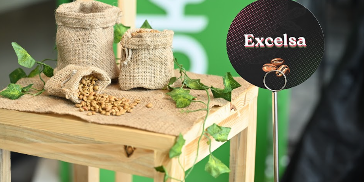 Tokopedia dan ShopTokopedia bersama Pelaku UMKM Lokal Dongkrak Potensi Biji Kopi Excelsa