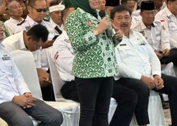 PAPDESI Audensi ke Kementerian Desa