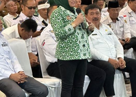 PAPDESI Audensi ke Kementerian Desa