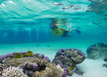 Ningaloo Reef Australia Barat Tawarkan Peluang Besar bagi Agen dan Pelaku Bisnis Pariwisata