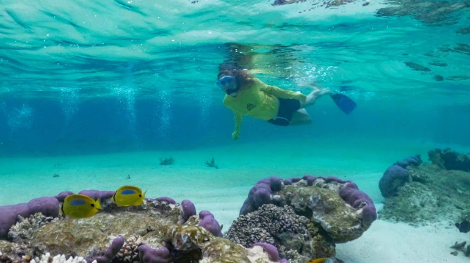 Ningaloo Reef Australia Barat Tawarkan Peluang Besar bagi Agen dan Pelaku Bisnis Pariwisata