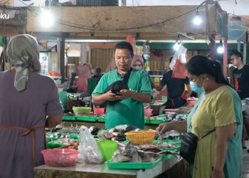 Memahami Nadi Ekonomi Rakyat: Sektor Pedagang dalam Trade Tradisional