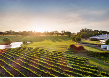 Cita Rasa Australia Barat, 10 Tempat Kuliner dan Minuman Wajib Dicoba