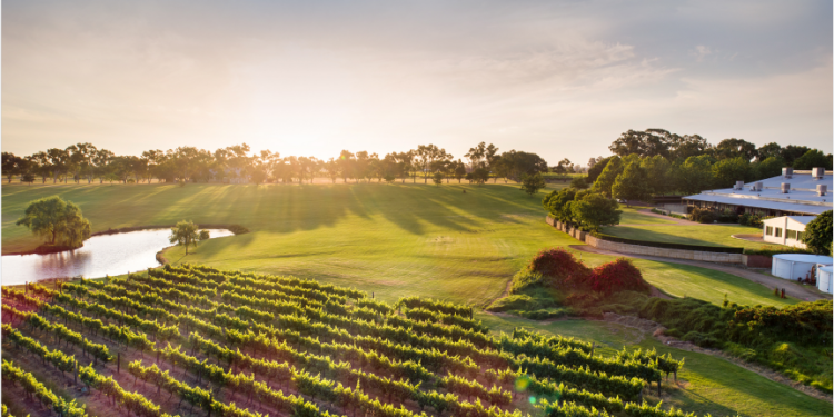 Cita Rasa Australia Barat, 10 Tempat Kuliner dan Minuman Wajib Dicoba