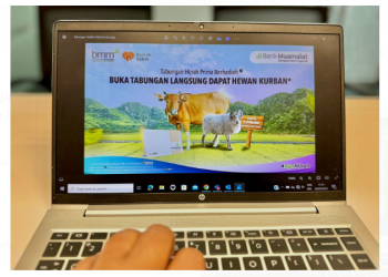 Unik, Buka Tabungan di Bank Muamalat Langsung Dapat Hewan Kurban