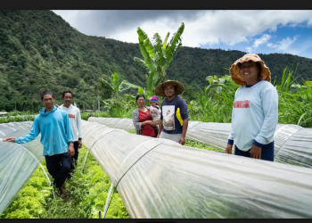 Koperasi Merah Putih: Mimpi Besar yang Perlu Akar Nyata