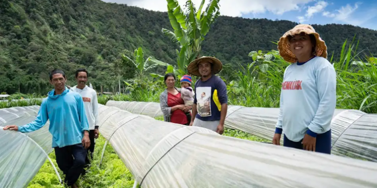 Koperasi Merah Putih: Mimpi Besar yang Perlu Akar Nyata
