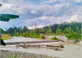 Praktisi Keinsinyuran Desak Gubernur Sumbar Bertindak Tegas, Tambang Ilegal Ancam Ekosistem Sungai Batang Sibinail