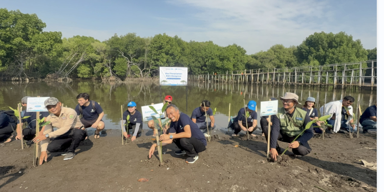 Zurich Indonesia Tegaskan Komitmen Keberlanjutan Lewat Aksi Nyata Penanaman Mangrove