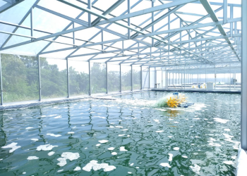 Semen Merah Putih Kembangkan Mikroalga, Solusi Ramah Lingkungan Industri Konstruksi