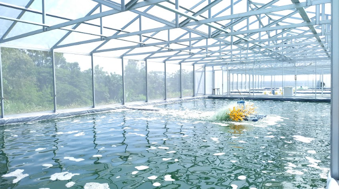 Semen Merah Putih Kembangkan Mikroalga, Solusi Ramah Lingkungan Industri Konstruksi