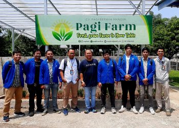 Tanam Harapan di Tengah Beton: UPER Hadirkan Urban Farming yang Ramah Lingkungan