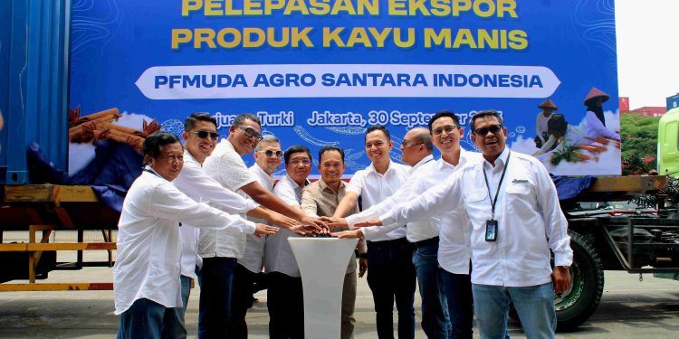 Kayu Manis Khas Kerinci Tembus Pasar Turki, Ekspor Sampai 10,4 Ton