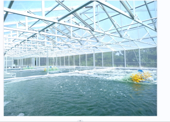 Semen Merah Putih Hadirkan Inovasi MPTree, Dari Alam untuk Generasi Sehat dan Bumi yang Lestari