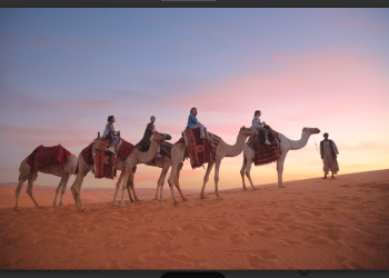 Perjalanan Wellness dari AlUla hingga Saudi Red Sea bagi Wisatawan Indonesia