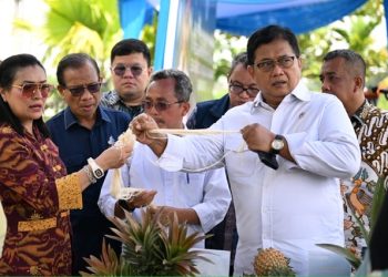 Wamen Transmigrasi Viva Yoga Dorong Nanas Jadi Komoditas Unggulan