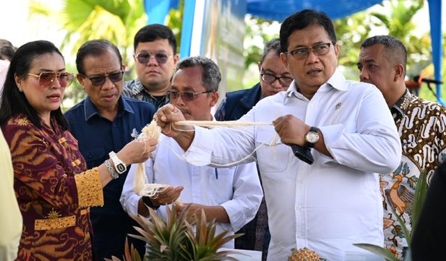 Wamen Transmigrasi Viva Yoga Dorong Nanas Jadi Komoditas Unggulan