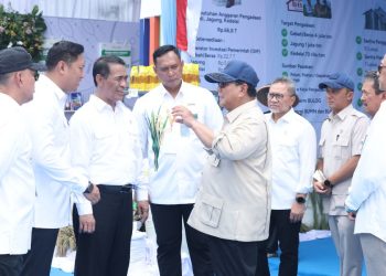 BULOG Terima Penghargaan dari Presiden, Dukung Swasembada Pangan